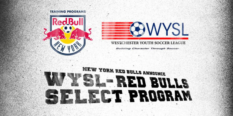New York Red Bulls announce partnership with Westchester Youth Soccer League -